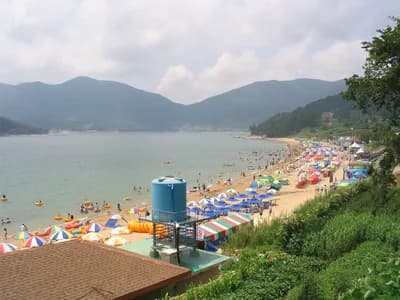 Canon PowerShot A70 — 2007-08-01