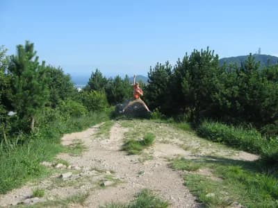 Canon DIGITAL IXUS 700 — 2008-07-29