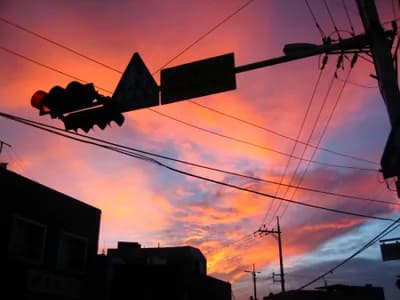 Canon DIGITAL IXUS 700 — 2008-08-09