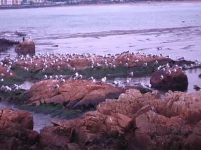 Canon DIGITAL IXUS 700 — 2009-01-30