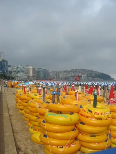 Canon DIGITAL IXUS 700 — 2009-08-07